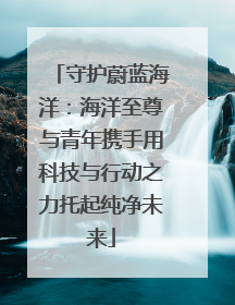 守护蔚蓝海洋：海洋至尊与青年携手用科技与行动之力托起纯净未来