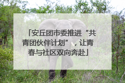 安丘团市委推进“共青团伙伴计划”，让青春与社区双向奔赴