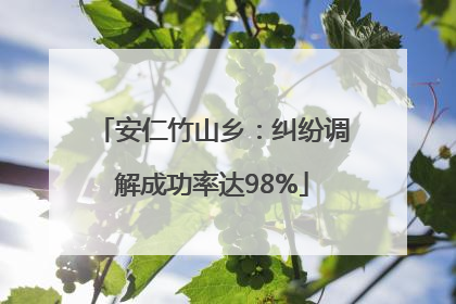 安仁竹山乡：纠纷调解成功率达98%