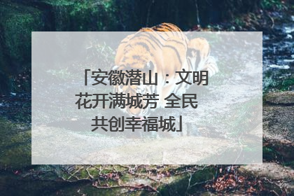 安徽潜山：文明花开满城芳 全民共创幸福城