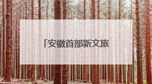 安徽首部新文旅电影《风起秋浦河》在合肥首映