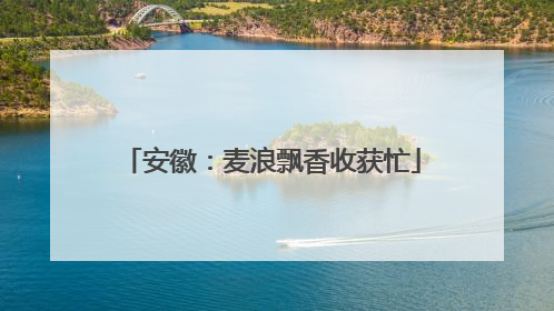 安徽：麦浪飘香收获忙