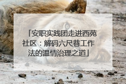 安职实践团走进西苑社区：解码六尺巷工作法的温情治理之道