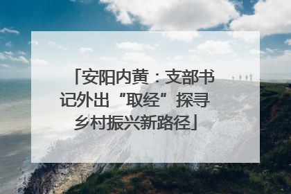 安阳内黄：支部书记外出“取经”探寻乡村振兴新路径