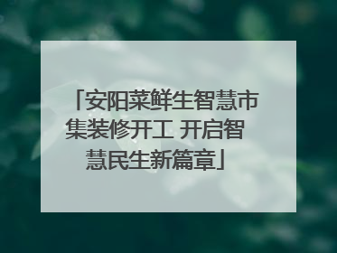 安阳菜鲜生智慧市集装修开工 开启智慧民生新篇章