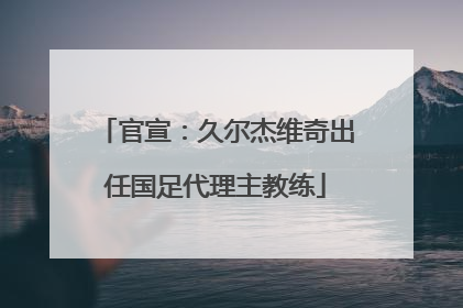 官宣：久尔杰维奇出任国足代理主教练