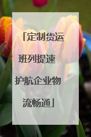 定制货运班列提速 护航企业物流畅通