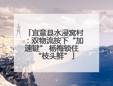 宜章县水浸窝村：双物流按下“加速键” 杨梅锁住“枝头鲜”
