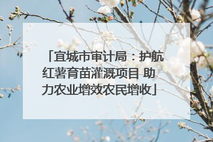 宜城市审计局：护航红薯育苗灌溉项目 助力农业增效农民增收