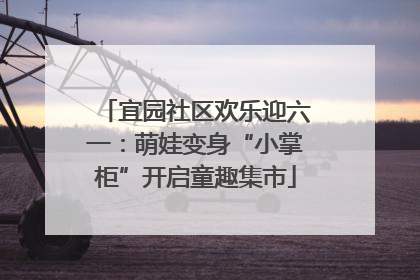 宜园社区欢乐迎六一：萌娃变身“小掌柜”开启童趣集市