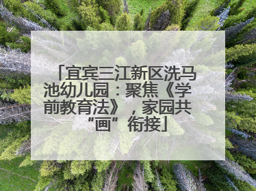 宜宾三江新区洗马池幼儿园：聚焦《学前教育法》，家园共“画”衔接