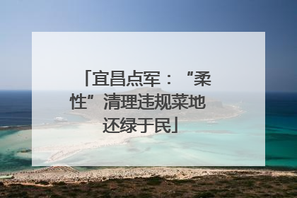 宜昌点军：“柔性”清理违规菜地 还绿于民