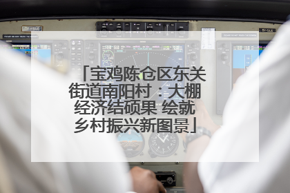 宝鸡陈仓区东关街道南阳村：大棚经济结硕果 绘就乡村振兴新图景