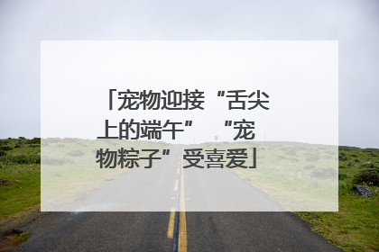 宠物迎接“舌尖上的端午” “宠物粽子”受喜爱