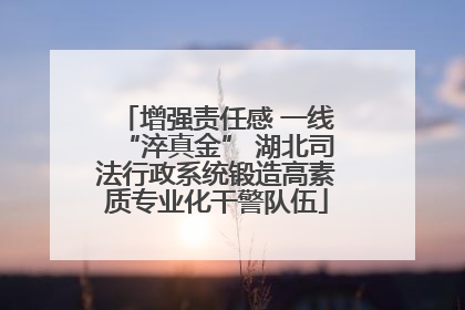 增强责任感 一线“淬真金” 湖北司法行政系统锻造高素质专业化干警队伍