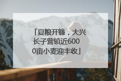 夏粮开镰，大兴长子营镇近6000亩小麦迎丰收
