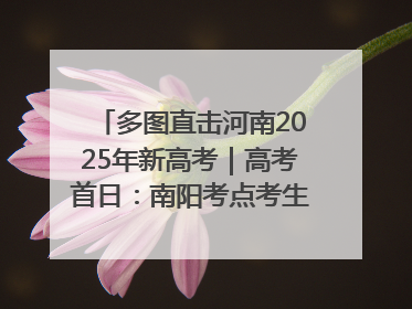 多图直击河南2025年新高考｜高考首日：南阳考点考生信心满满迎战
