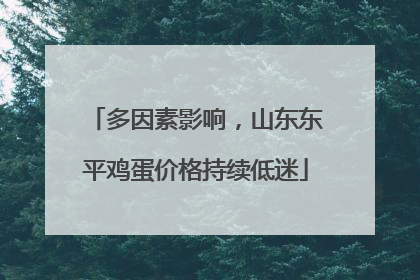 多因素影响，山东东平鸡蛋价格持续低迷