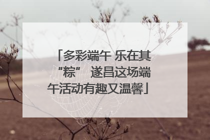 多彩端午 乐在其“粽” 遂昌这场端午活动有趣又温馨