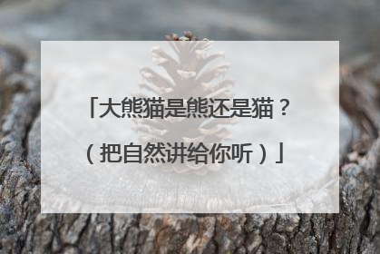 大熊猫是熊还是猫？（把自然讲给你听）
