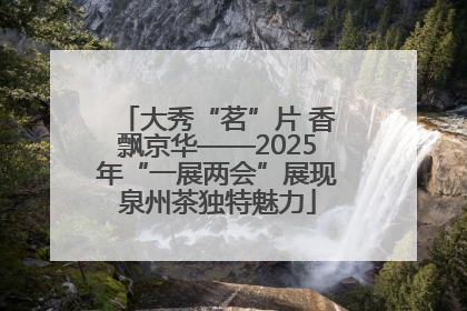 大秀“茗”片 香飘京华——2025年“一展两会”展现泉州茶独特魅力