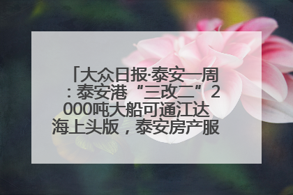 大众日报·泰安一周：泰安港“三改二”2000吨大船可通江达海上头版，泰安房产服务改革经验全省推广