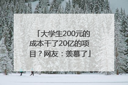 大学生200元的成本干了20亿的项目？网友：羡慕了
