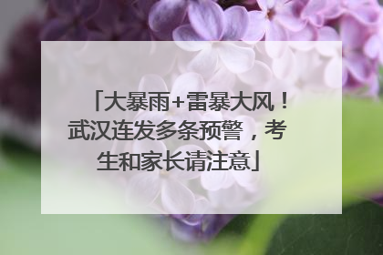 大暴雨+雷暴大风！武汉连发多条预警，考生和家长请注意