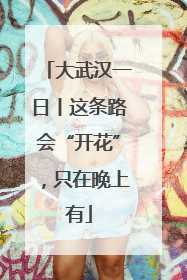 大武汉一日丨这条路会“开花”，只在晚上有