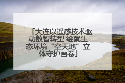大连以遥感技术驱动数智转型 绘就生态环境“空天地”立体守护画卷