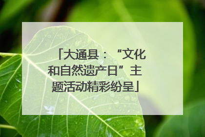 大通县：“文化和自然遗产日”主题活动精彩纷呈