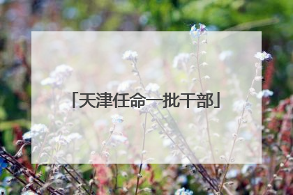 天津任命一批干部