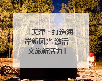 天津：打造海岸新风光 激活文旅新活力