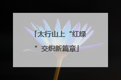 太行山上“红绿”交织新篇章