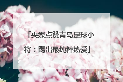 央媒点赞青岛足球小将：踢出最纯粹热爱