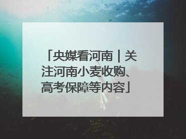 央媒看河南｜关注河南小麦收购、高考保障等内容