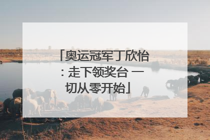 奥运冠军丁欣怡：走下领奖台 一切从零开始