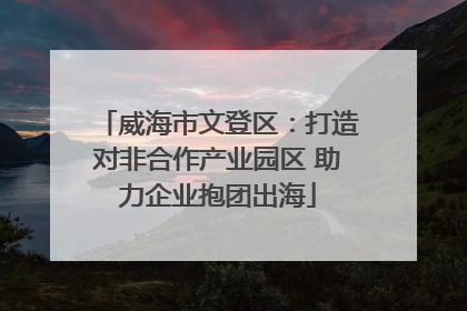 威海市文登区：打造对非合作产业园区 助力企业抱团出海