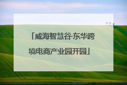 威海智慧谷·东华跨境电商产业园开园