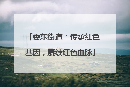 娄东街道：传承红色基因，赓续红色血脉