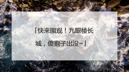 快来围观！九眼楼长城，傻狍子出没~