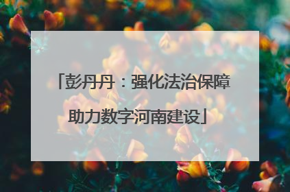 彭丹丹：强化法治保障 助力数字河南建设