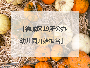 德城区19所公办幼儿园开始报名