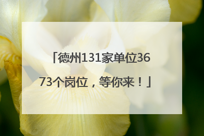 德州131家单位3673个岗位，等你来！