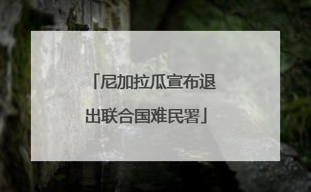 尼加拉瓜宣布退出联合国难民署