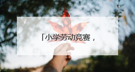 小学劳动竞赛，让孩子们在实践中“偷偷长本事”