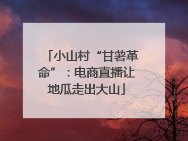 小山村“甘薯革命”：电商直播让地瓜走出大山