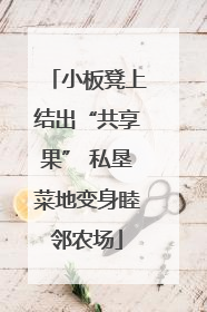 小板凳上结出“共享果” 私垦菜地变身睦邻农场