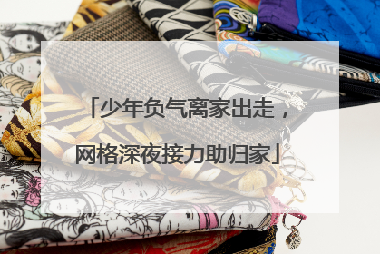 少年负气离家出走，网格深夜接力助归家