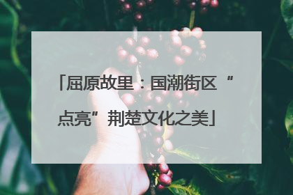 屈原故里：国潮街区“点亮”荆楚文化之美